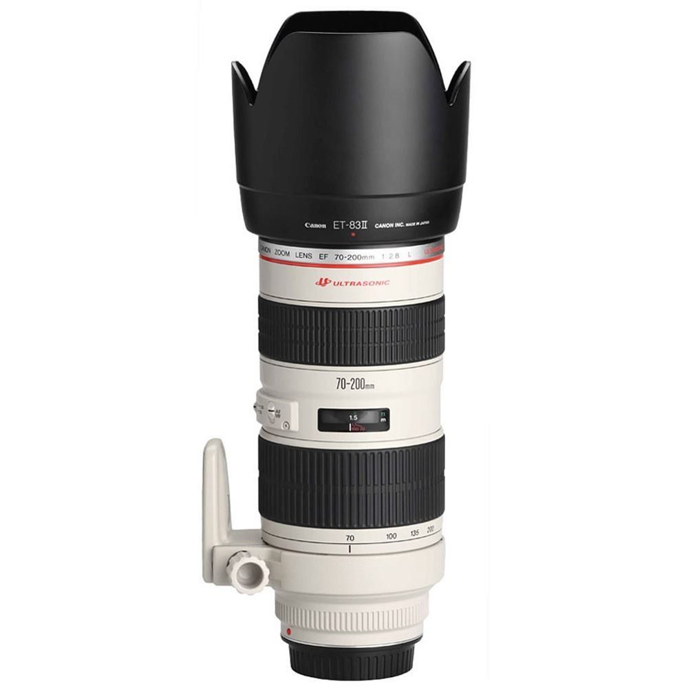 CANON EF 70-200/2.8 L Bild