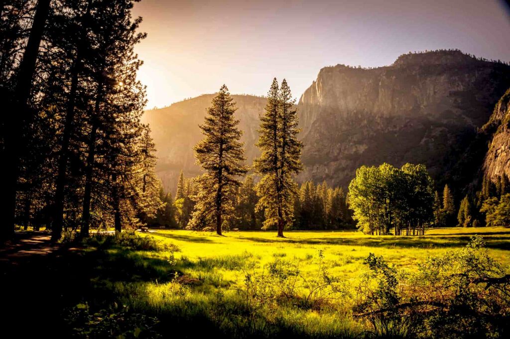 Naturparke Österreich – Landschaften voller Leben