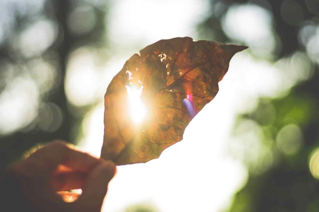 #jedertraumzählt – Licht für die Welt