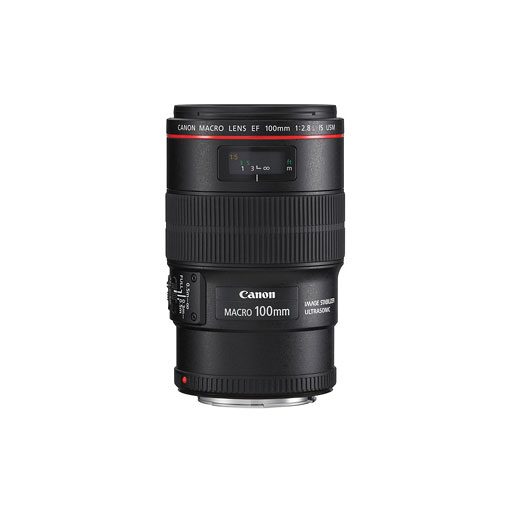 CANON EF 100mm 2.8 L Bild